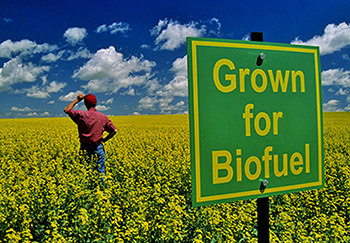 Biofuel industry breakthrough