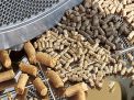 Pelleting operating condition