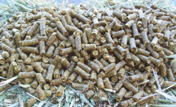 DINPlus pellets purcghase in big bags and 15 kg bags, with photos