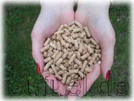 Sell Wood Pellets 100-1000 ton/manth