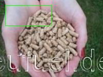 Sell Wood Pellets 100-1000 ton/manth